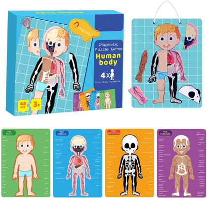 48pcs শিক্ষামূলক চৌম্বকীয় মানবদেহ 3 বছর বয়সী toddler জন্য পাজল খেলনা